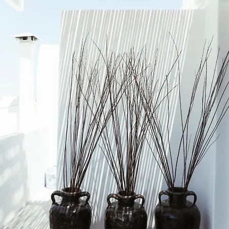 Central Local Living In Mykonos, Main Town Apartament *